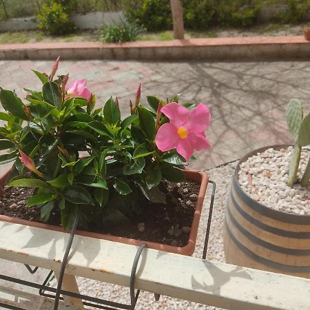B&B Lara Santola Corato Ngoại thất bức ảnh