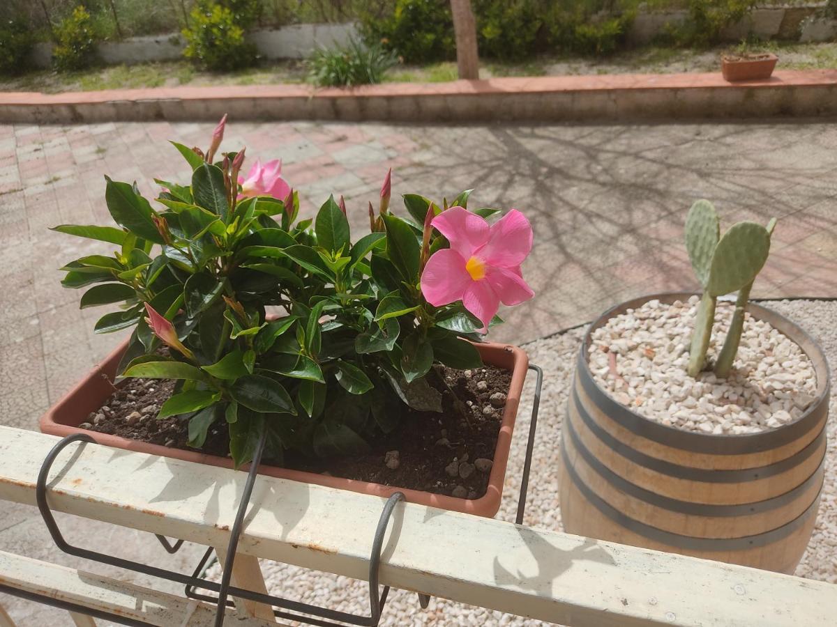B&B Lara Santola Corato Ngoại thất bức ảnh