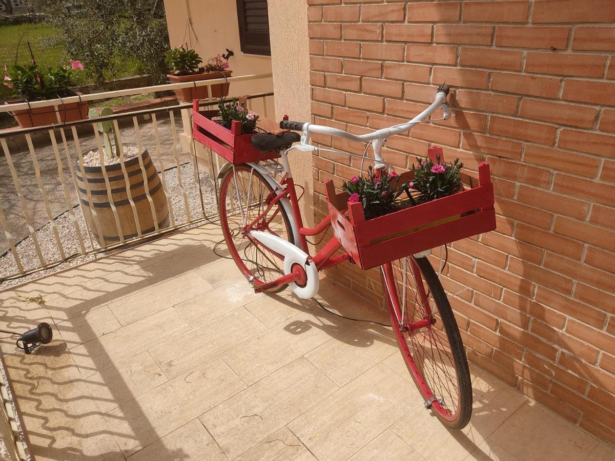 B&B Lara Santola Corato Ngoại thất bức ảnh